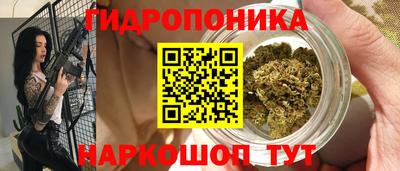 прущие крисы Кандалакша