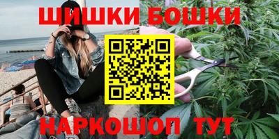СК Кингисепп
