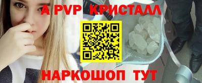 СК Кингисепп