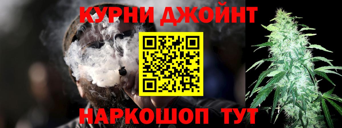 Канабис сатива Крымск